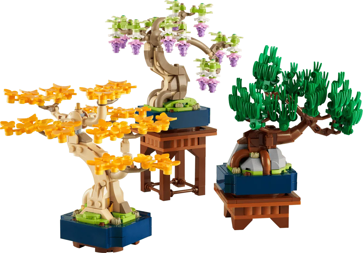 Mini Bonsai Trees (10373)