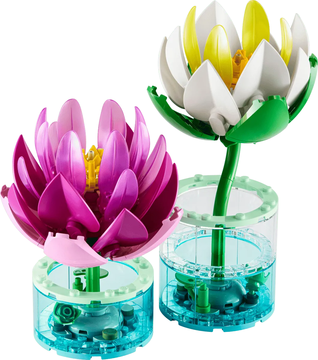 Water Lilies (11511)