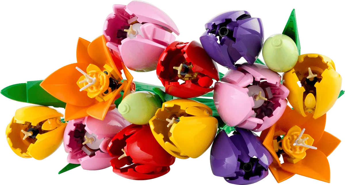 Tulip Bouquet (11501)