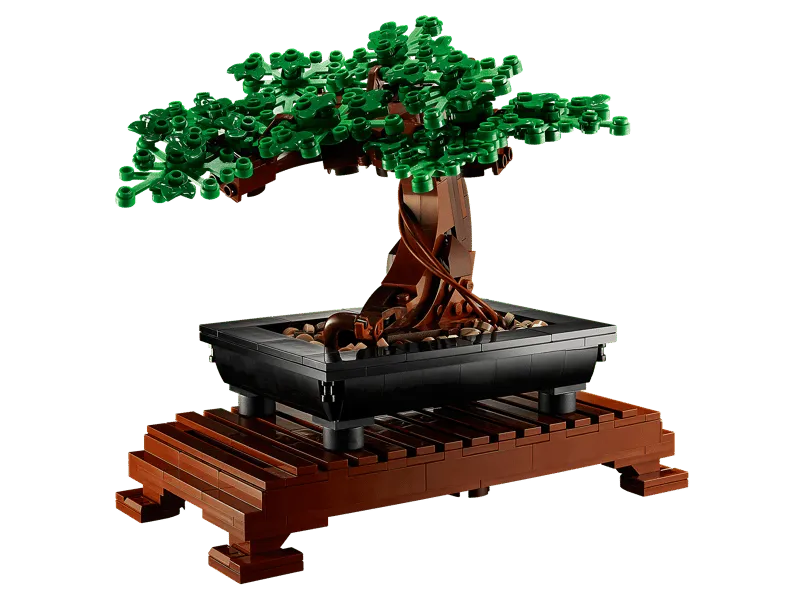 Green bonsai tree on stand.