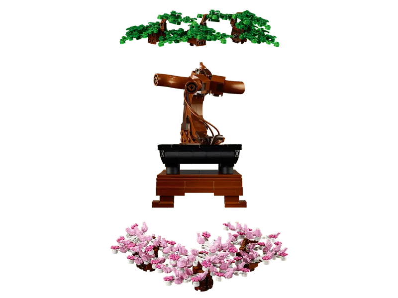 Bonsai tree exploded view.