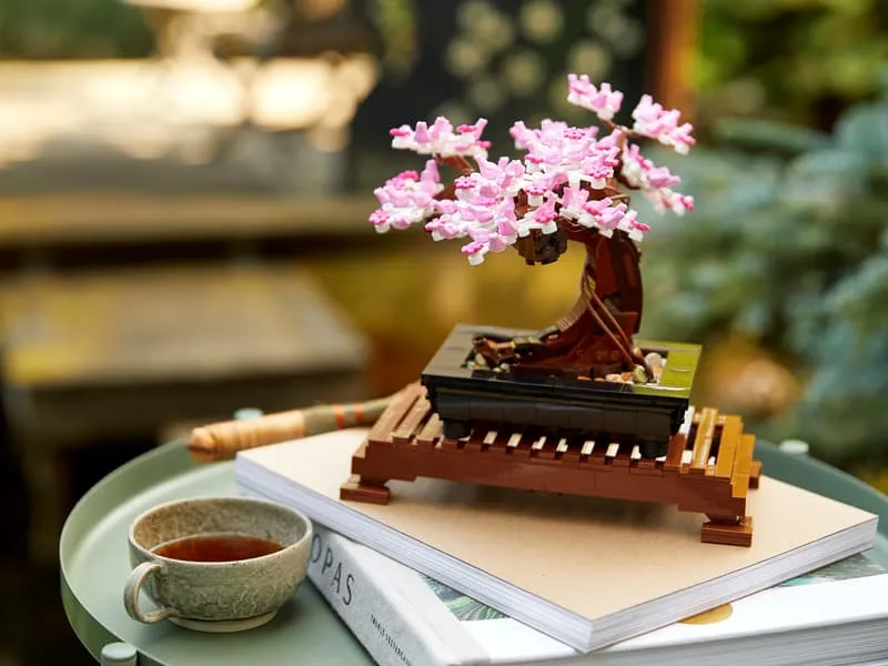 Pink bonsai on table with tea.