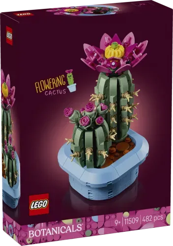 Front view of the LEGO Flowering Cactus 11509 set box, featuring two green cacti with pink flowers in a light blue pot on a dark magenta background.