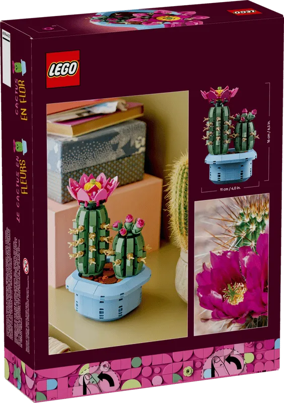 LEGO Flowering Cactus 11509 box back.