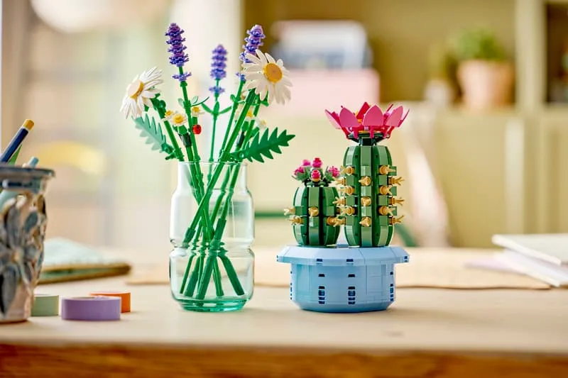 LEGO Cactus in display.