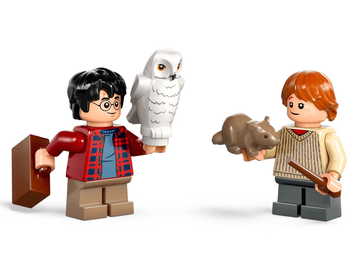 Minifigures and accessories close-up.