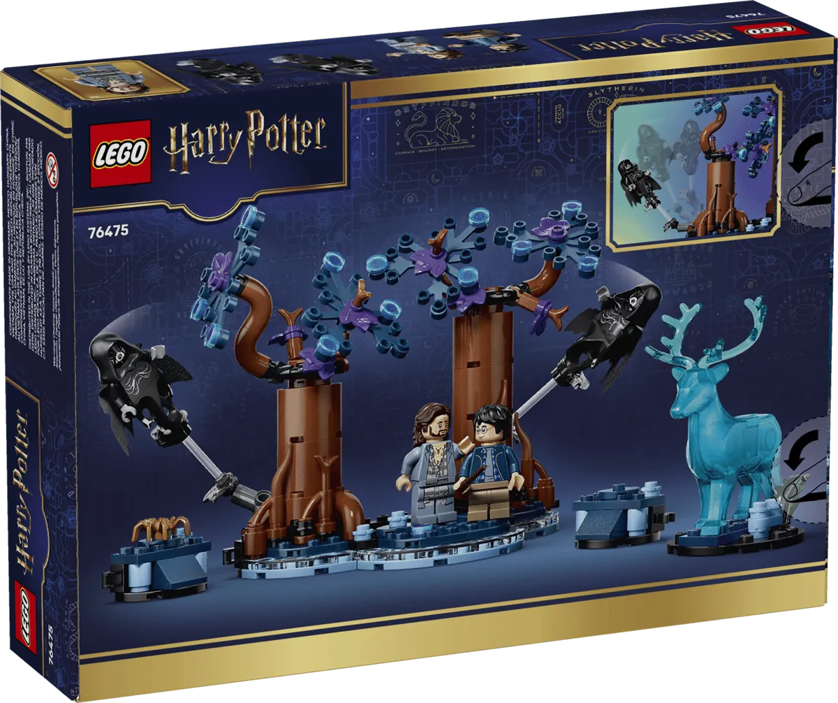 Forbidden Forest box back
