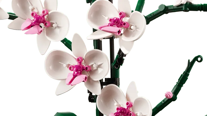 Close-up of LEGO Orchid flowers.