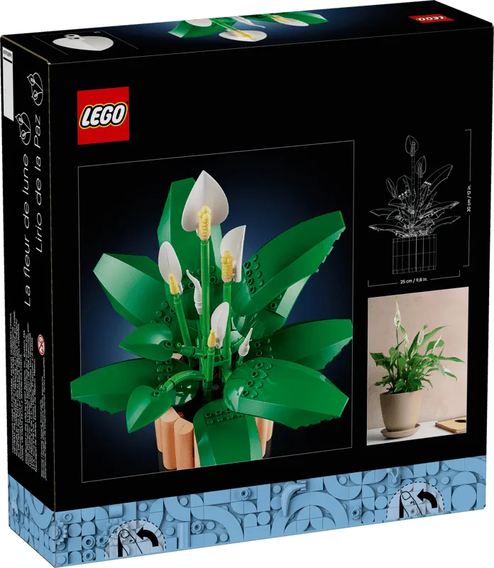 Back box art of LEGO Peace Lily.