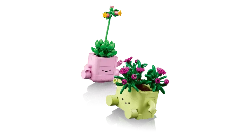Rocking Plants from an angle.