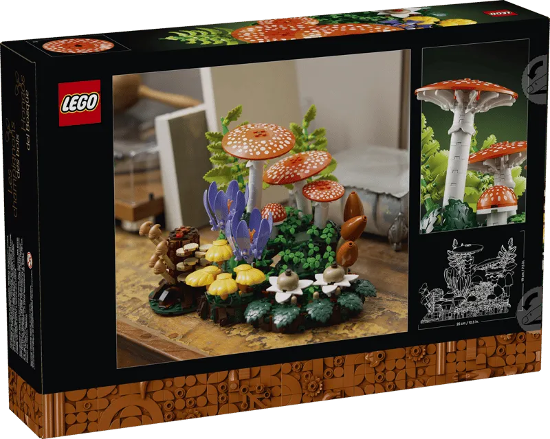 The back of the LEGO Woodland Mushrooms 11505 box, showing the assembled model on a wooden table in a home setting, with a schematic drawing of the dimensions on the right side.